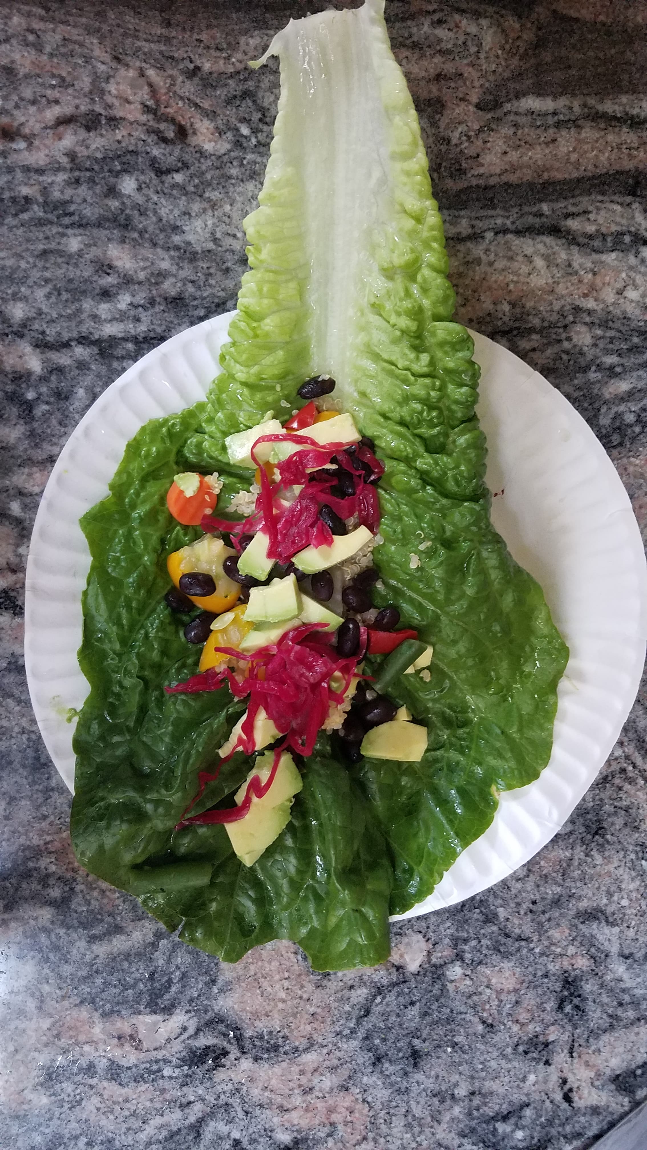 Romaine Plant Based – Protein Wrap