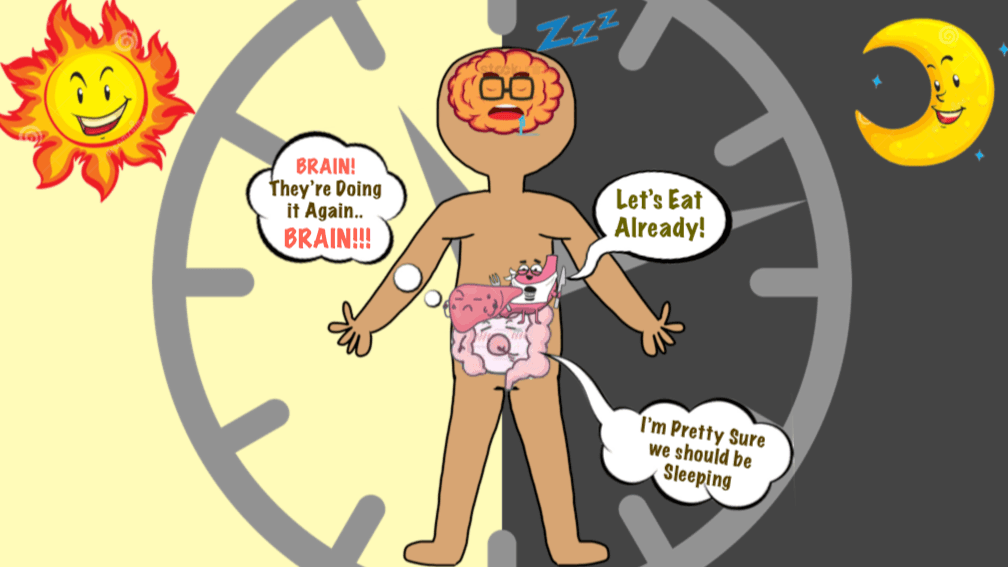 Any Body Got the Time? – Optimizing your Sleep Cycles