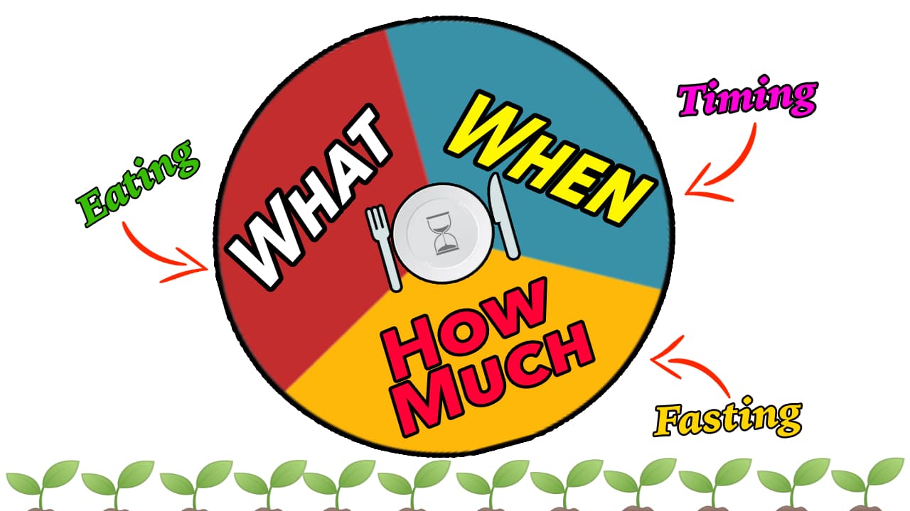 How to Eat For Longevity