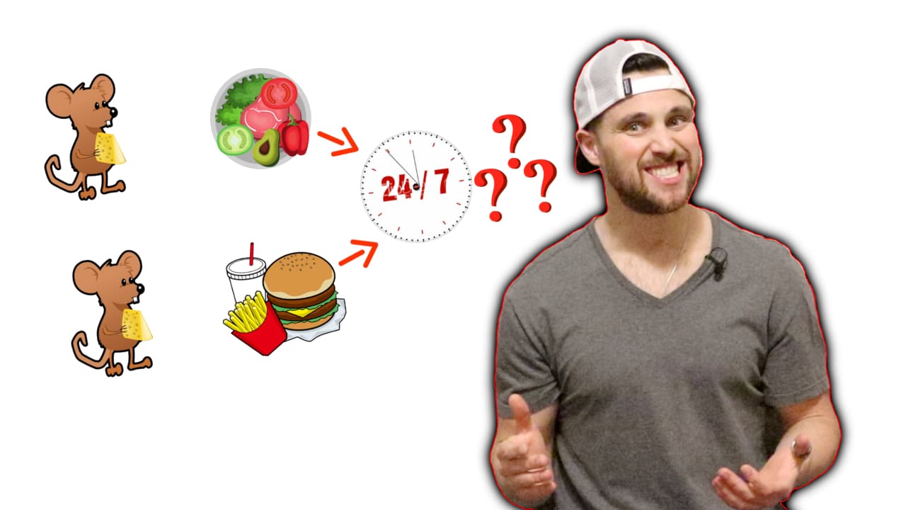 The Effects of 24/7 Availability to High FAT / High SUGAR Foods