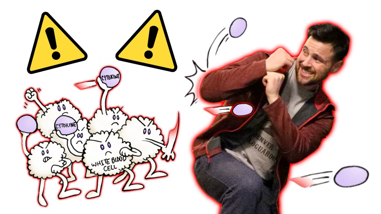 Is Chronic Inflammation Making You OLD, Faster! (aka InflammAGING)