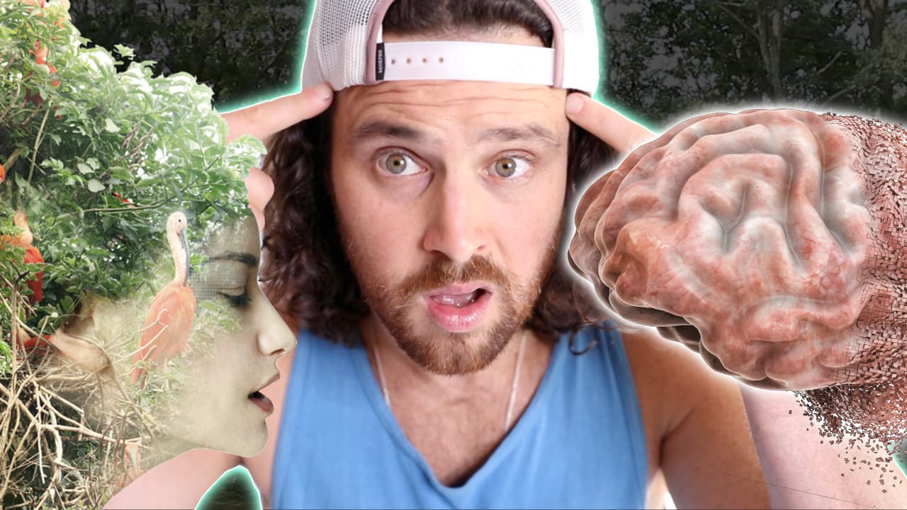 How Nature Alters the Structure of Your Brain