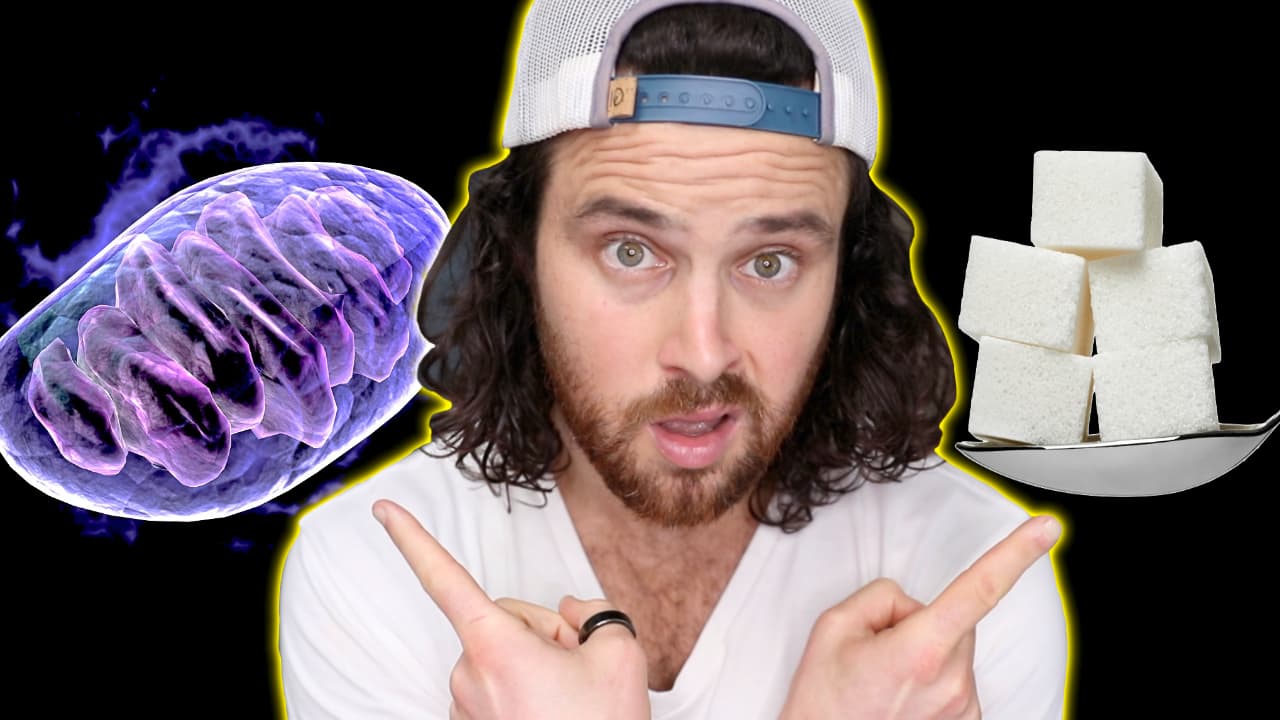 Too MUCH Sugar Too MUCH on Your Mitochondria?