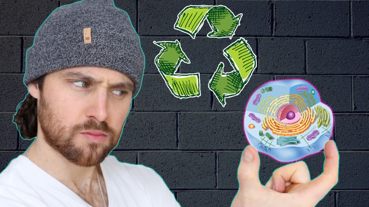 My Daily AUTOPHAGY Routine | How I Boost Cellular Healthspan on a Daily Basis