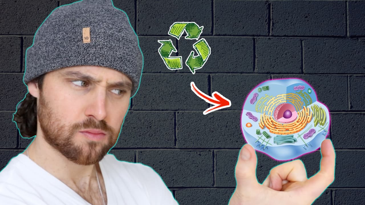 Can Intermittent Fasting BOOST The Healing PROCESS & Your Recovery?