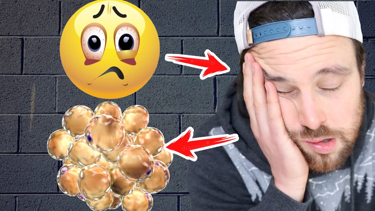 How POOR SLEEP Drives to The Accumulation of the “BAD” Type of Fat | Visceral FAT