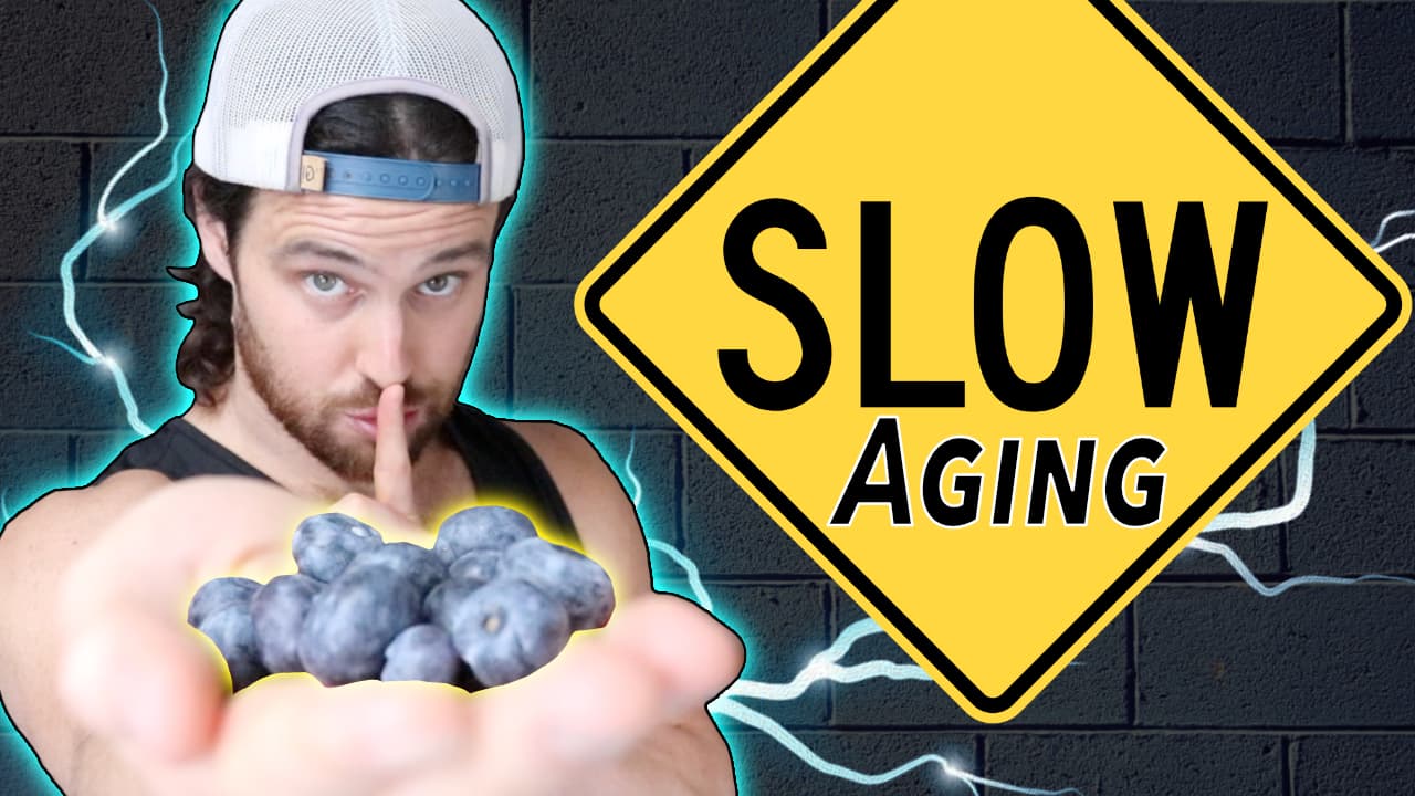 How Phytonutrient / Antioxidant  Rich Foods Can Slow the Aging Process