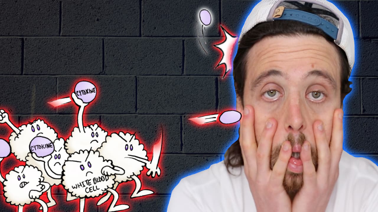 How Deprived Sleep CHANGES Your Immune System | New Data