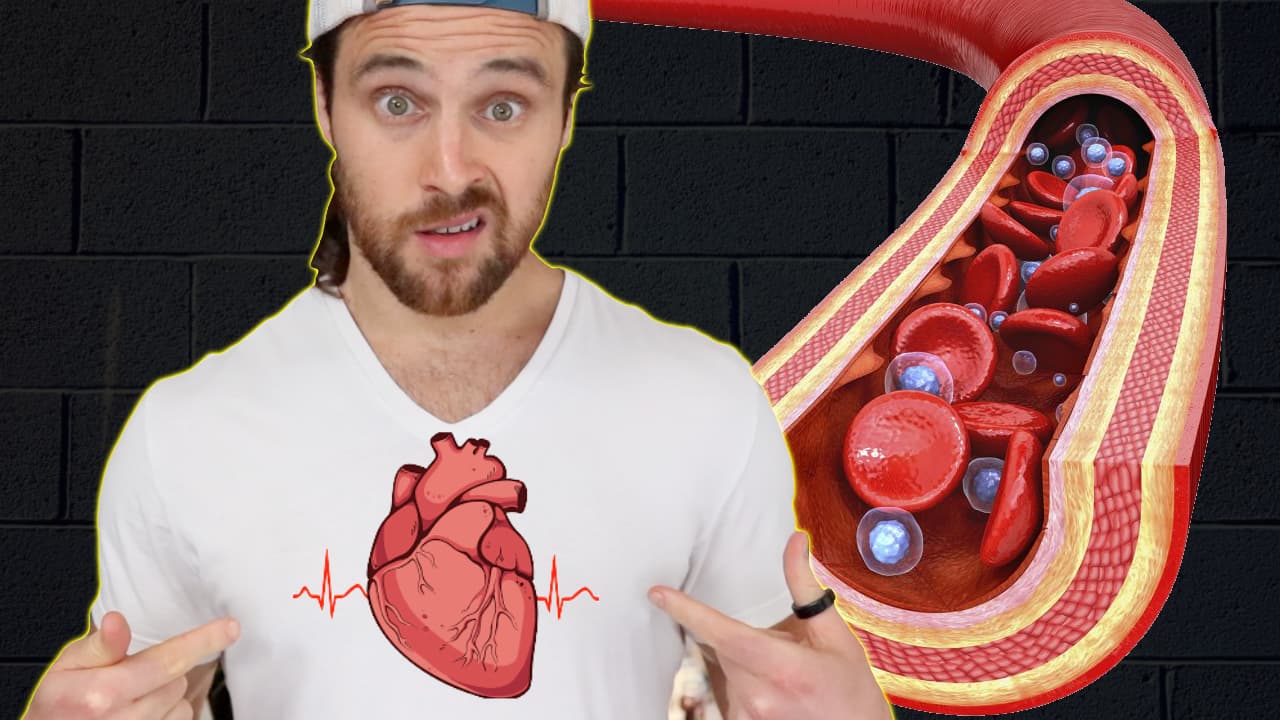 Why Blood Vessels Are Becoming STIFF | And How to STOP It