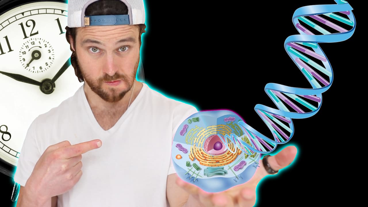 How Time Restricted Eating Changes Your Gene Expression