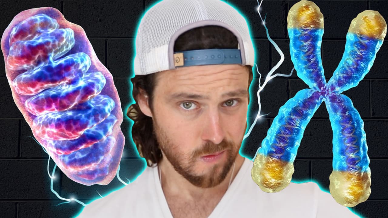 Boost Your Cellular Longevity | And FEEL GOOD More Often