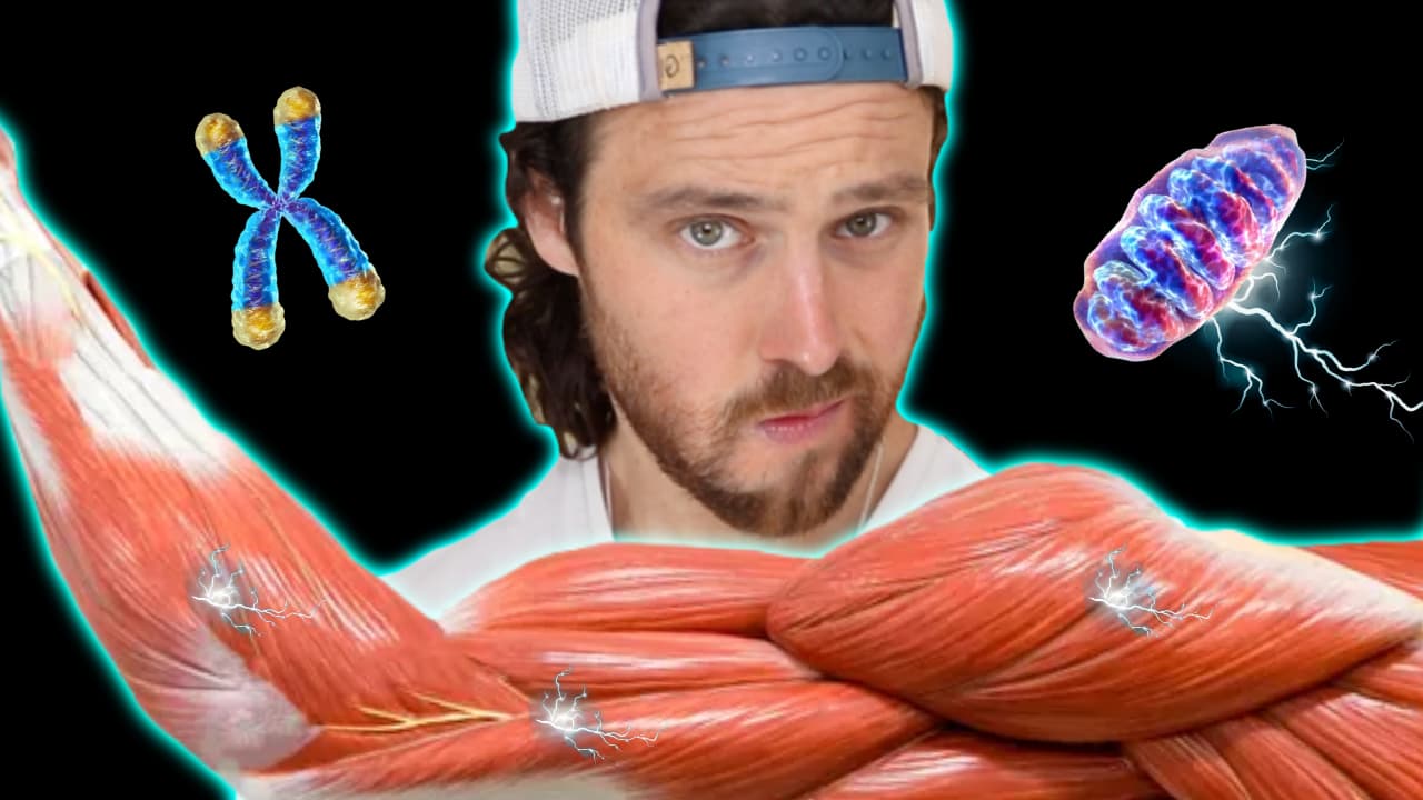 More Muscle Less Disease | The Connection is Real