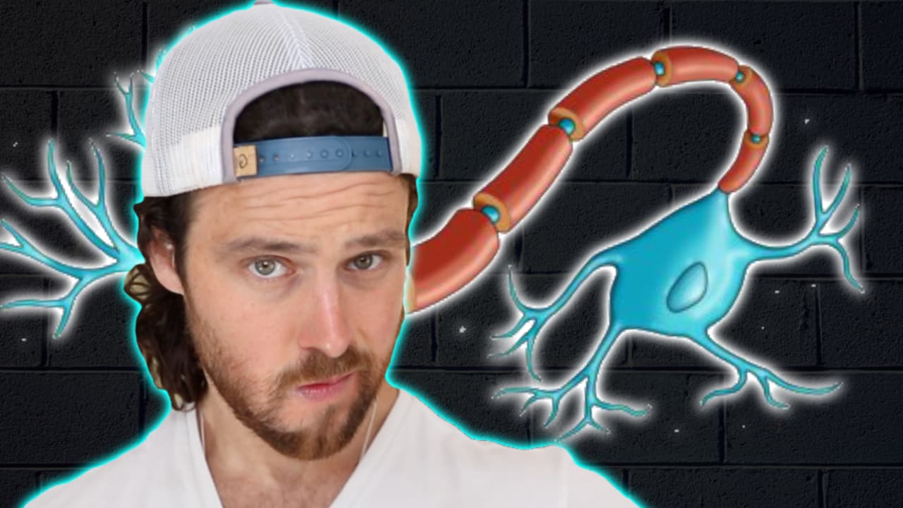 Neurogenesis is Possible, But Here’s Why You May Not Need It