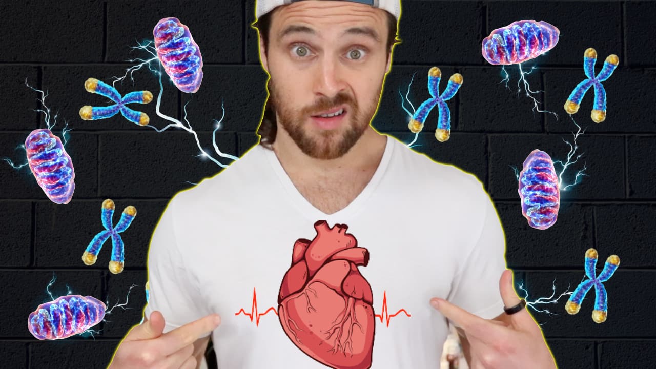 STRESS is GOOD for Longevity | If it’s the Right Type | The Power of Hormesis Explained