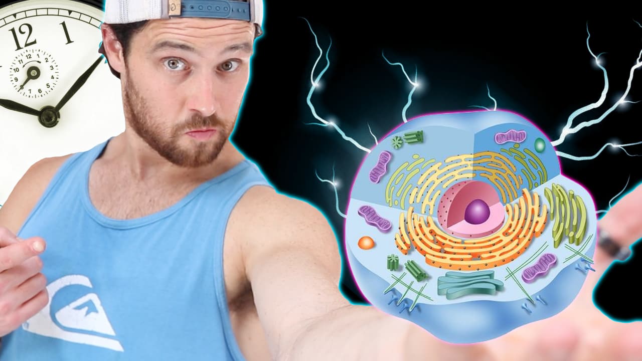 The Lost Art of Circadian Eating and its Metabolic Magic