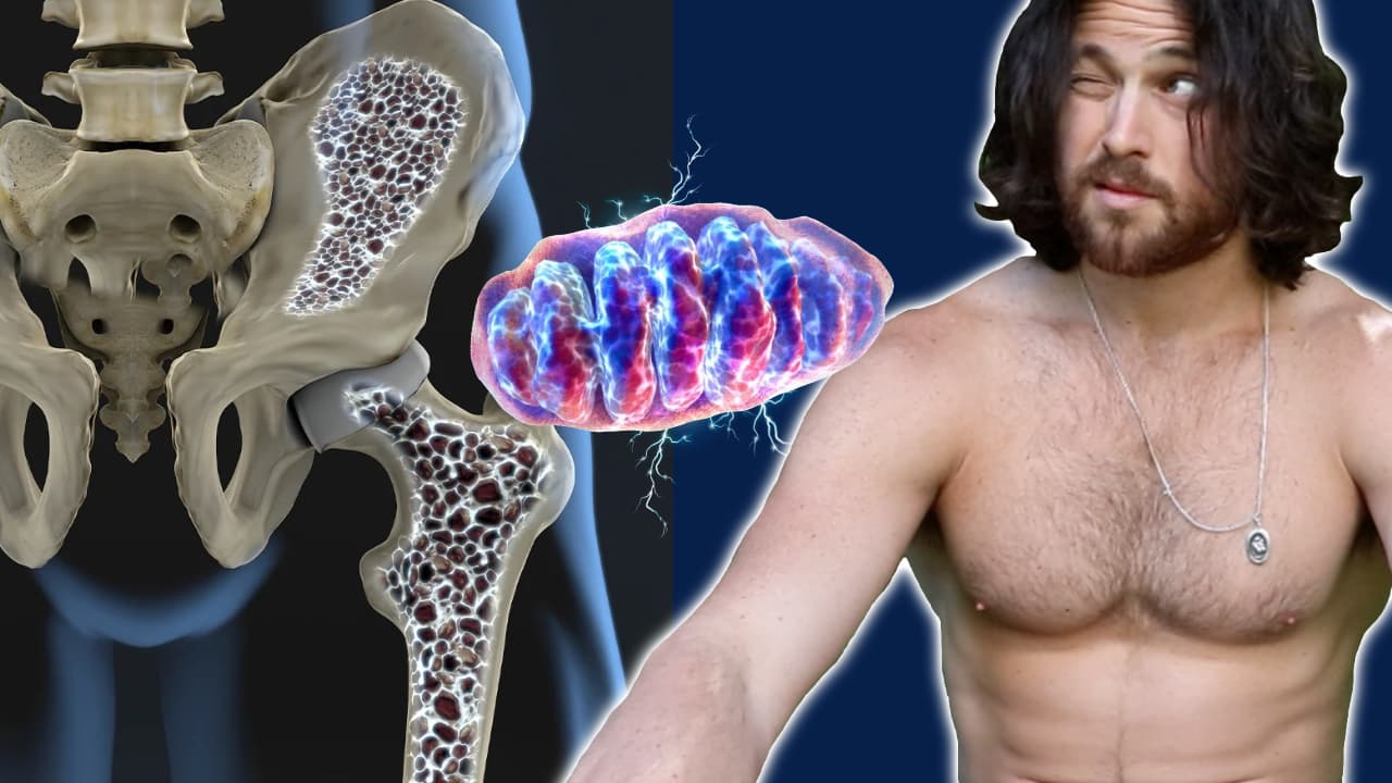 More Bone More Longevity | The Secret Connection