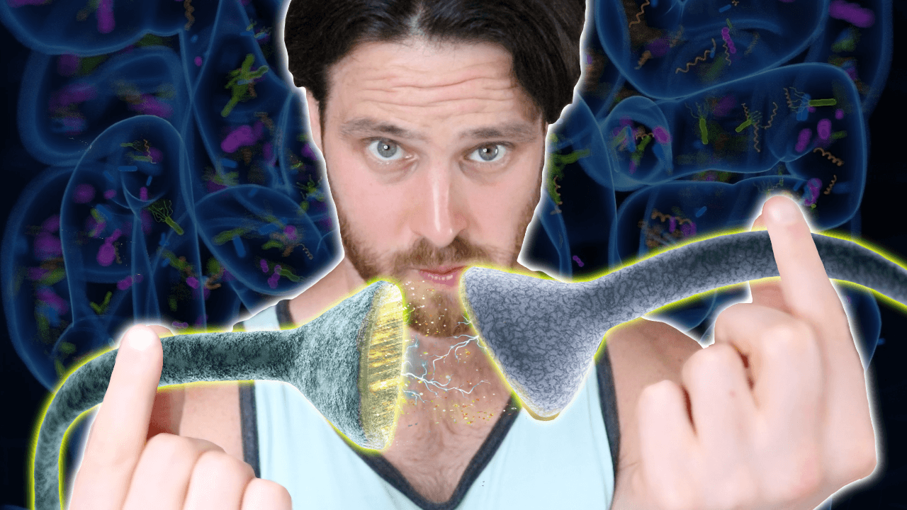 Exercise May Have NEW Brain Longevity Benefits | Adult Born Neurons