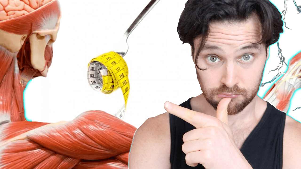 Is a Calorie Restriction Counter-Productive for Longevity?