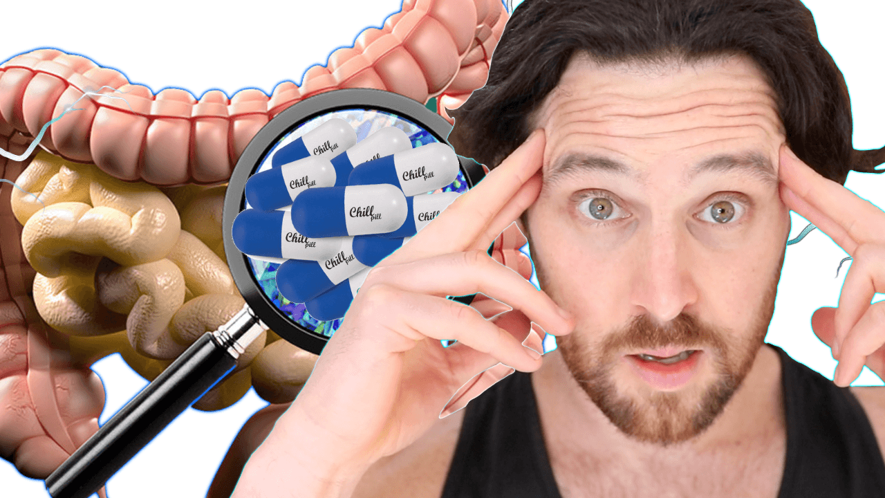 The Gut Microbiome | A Cure to Modern Anxiety?