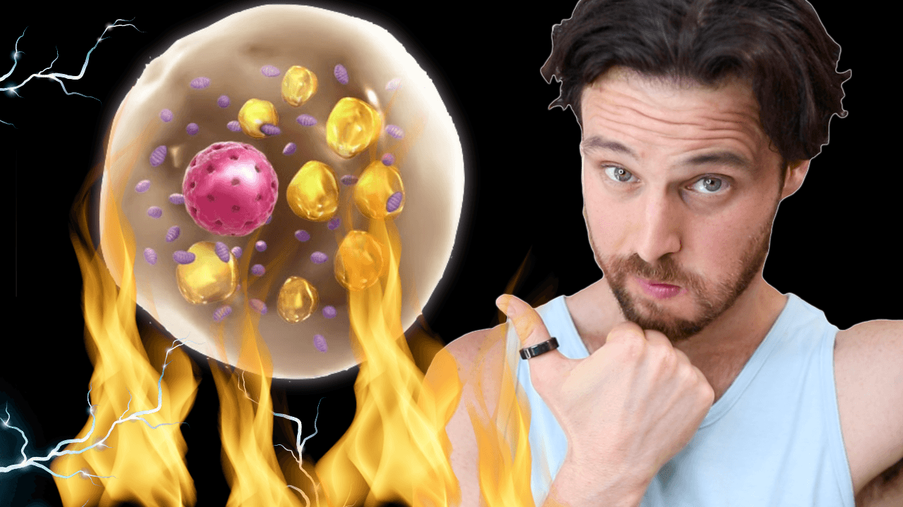 How Daily Time Restricted Eating Helps Fight Chronic Inflammation