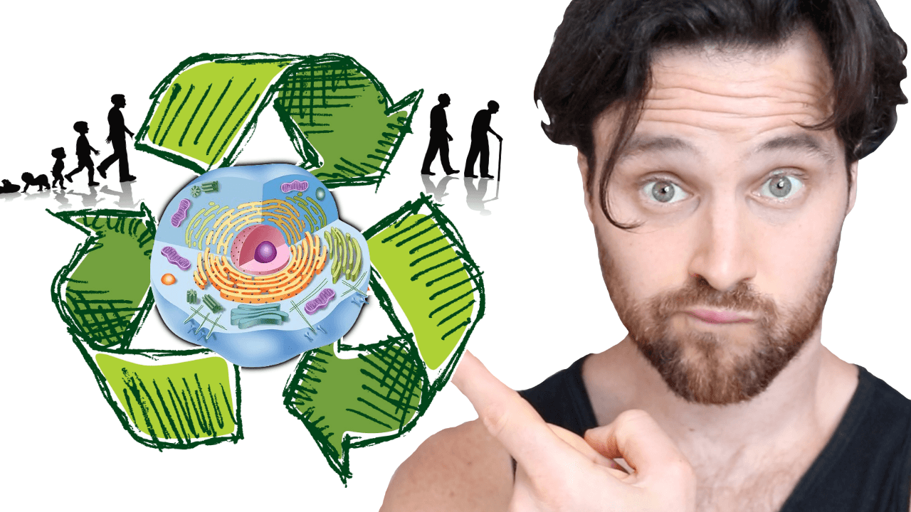 AUTOPHAGY as YOU Age | The Cellular Recycling Secret to Longevity