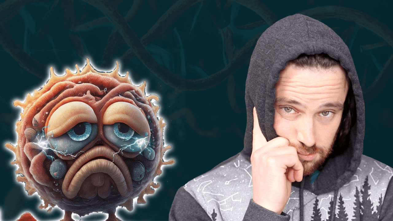 Your Health comes Down to Your Cellular Function | Here’s Why