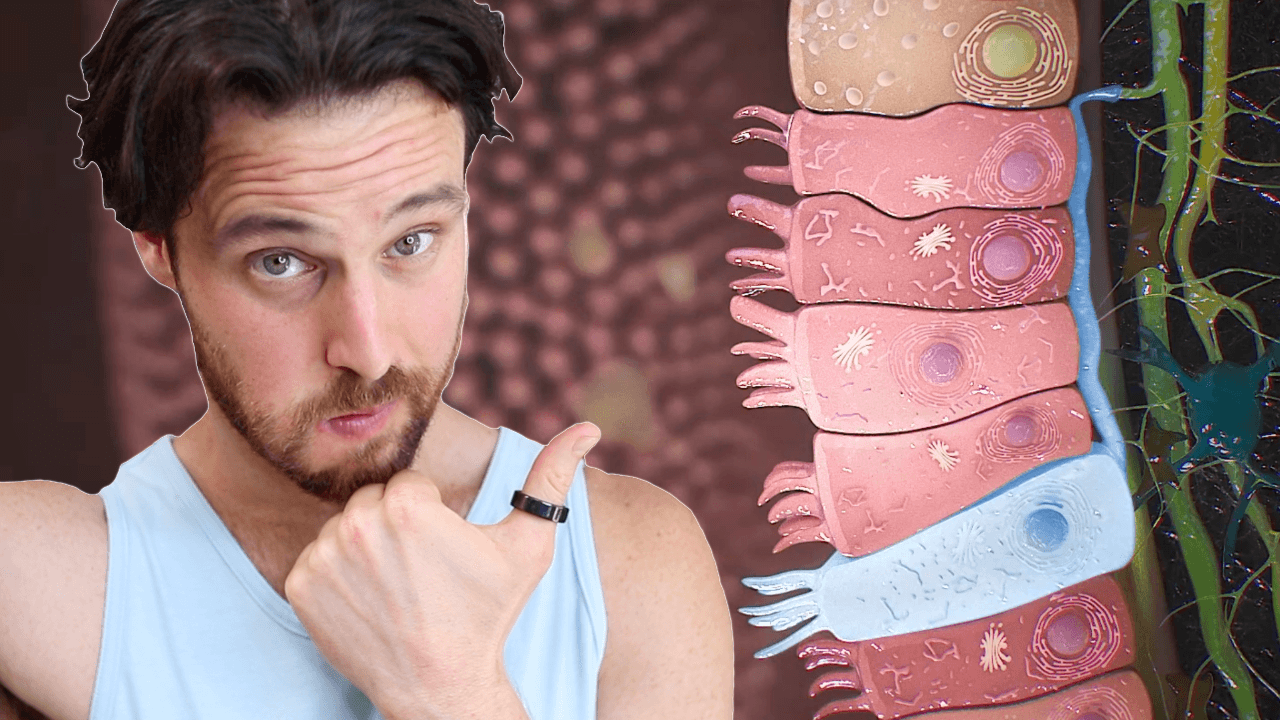 Your Body Doesn’t Like Your Gut Bacteria | But There’s A Catch…