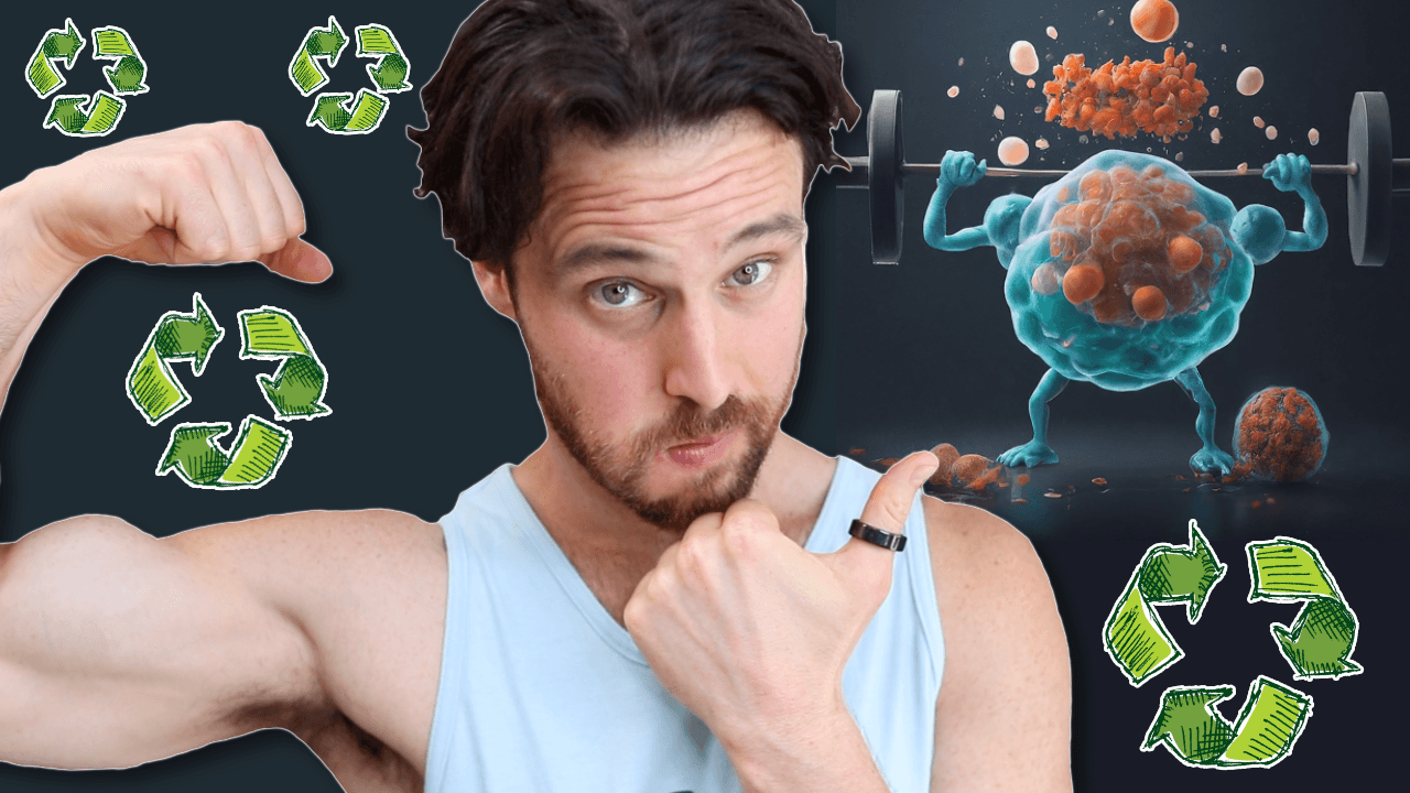 How Resistance Training PUMPS UP Cellular Recycling | Autophagy & Mitophagy