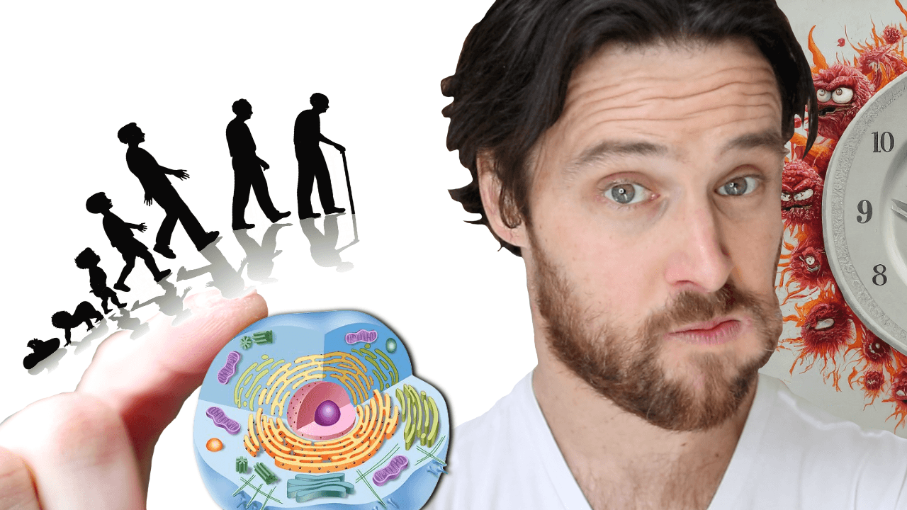 The Longevity “X-Factor” with Intermittent Fasting