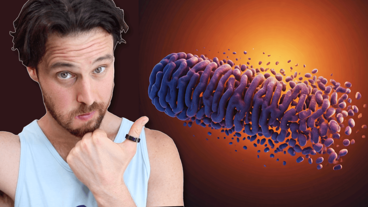 This Pathway May be the Secret to Mitochondria Health | How to Turn it ON