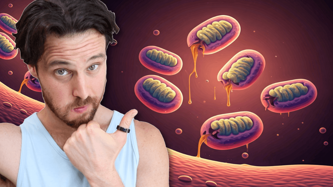 How Your Gut Bacteria & Mitochondria Work Together to Prevent Alzheimers
