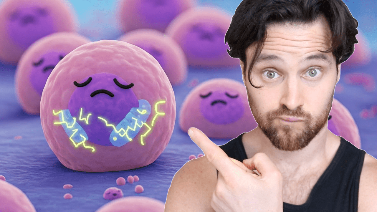 Want Better Stem Cell Function | You Need Better Mitochondria