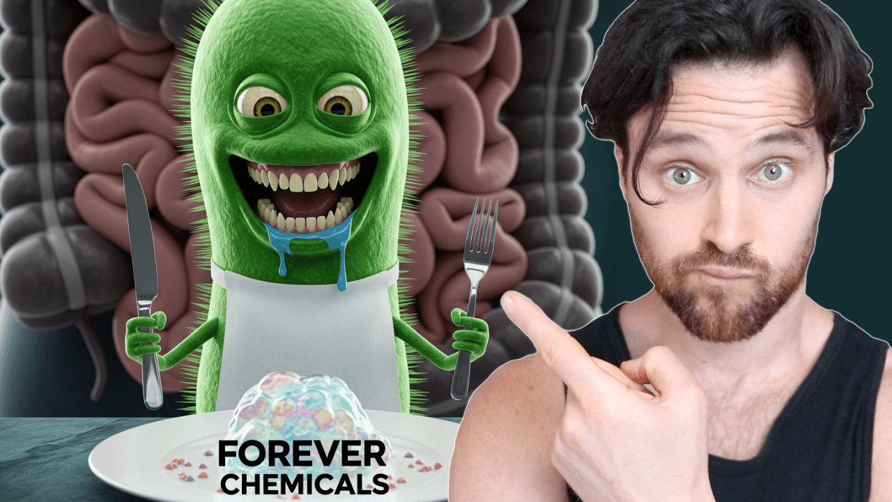 Forever Chemicals – The Secret to Eliminating Them May Be in Your Gut Microbiome