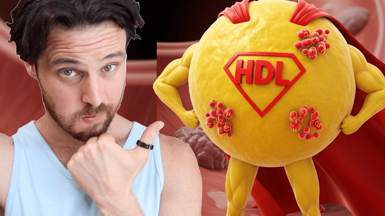 How HDL Cholesterol REALLY Works its Longevity Magic | What You Should Do