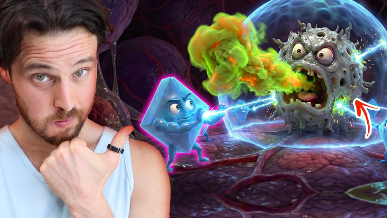 How The Gut Bacteria Short-Chain Fatty Acid (Butyrate) STOPS Senescent Cells