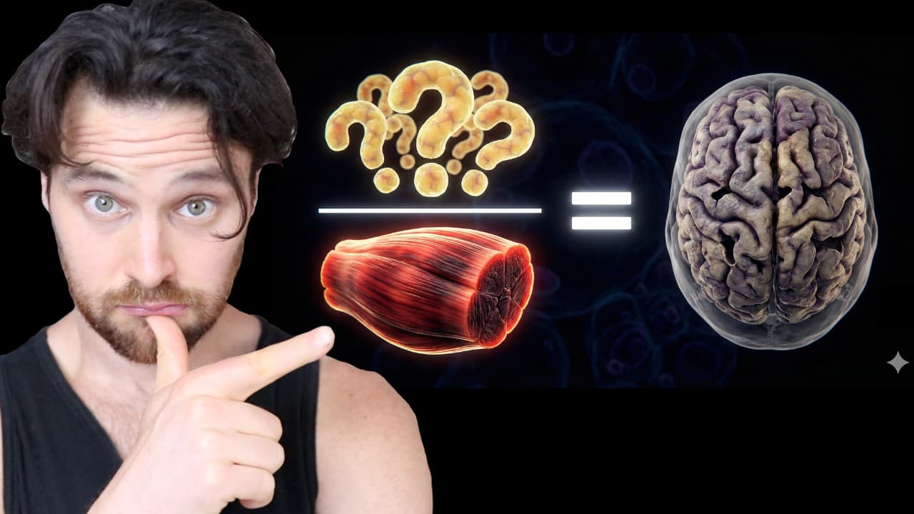 Visceral Fat to Muscle Mass Ratio: A NEW Brain Longevity Predictor