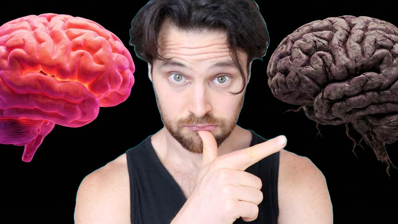Two Secret X-FACTORS That Will BOOST Your BRAIN LONGEVITY