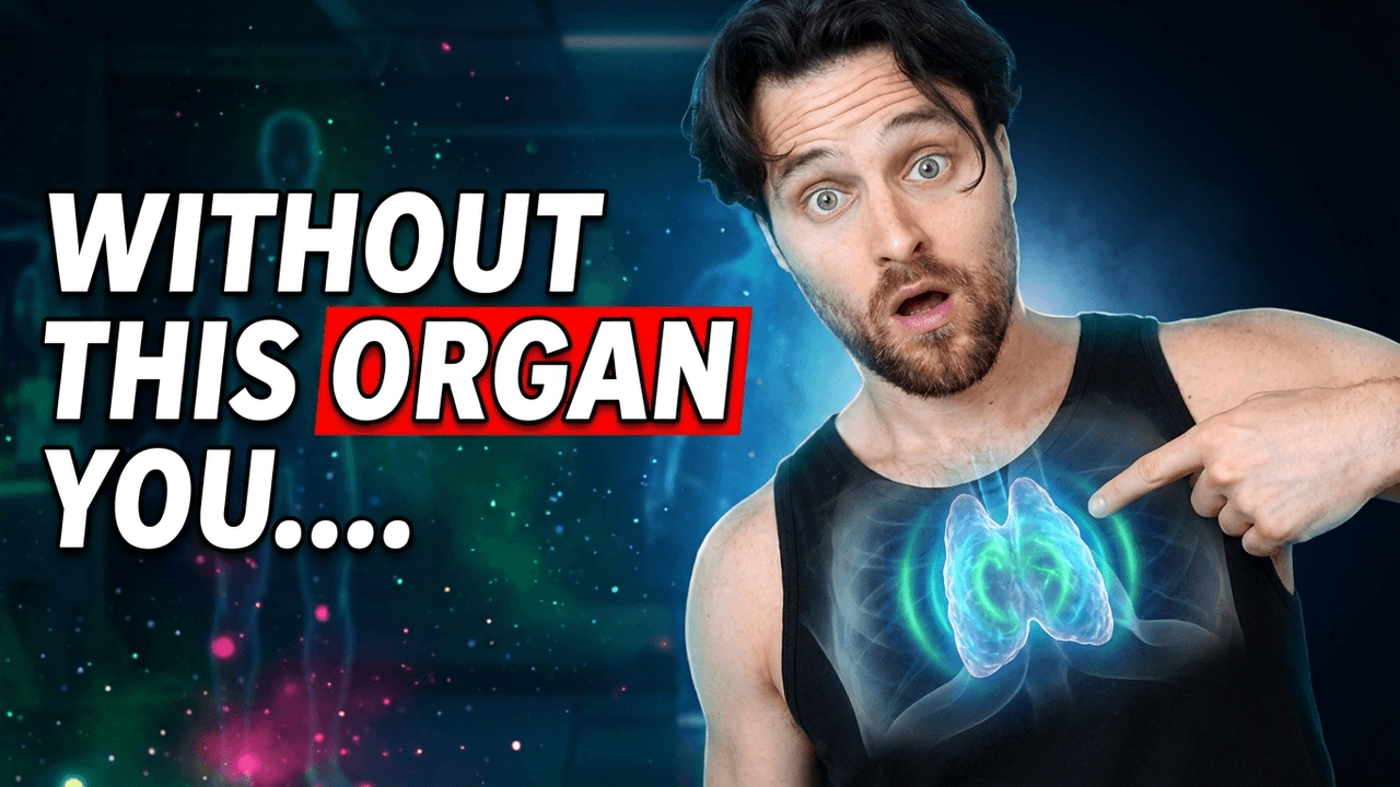 This Organ Shrinks Every Year — And It’s Influencing How Long You Live