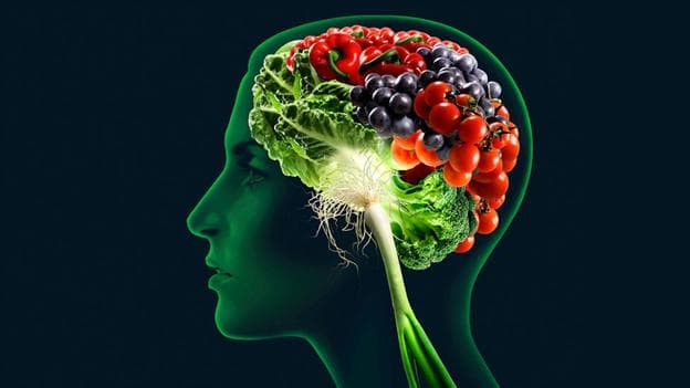 Your Gut is Smarter Than You Think