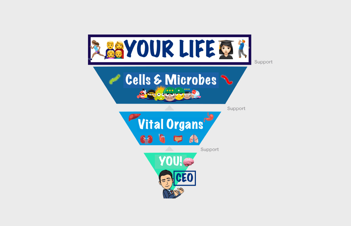 YOUR HEALTH = YOUR BUSINESS
