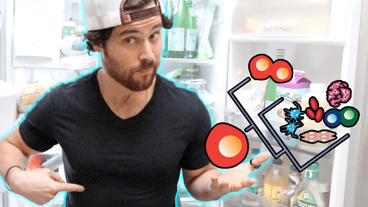 The Connection between Fasting, Celluar Recycleing & Stem Cell Regeneration