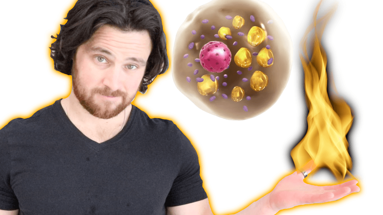 How Chronic Inflammation can Block Brown Fat Activation & Visceral Fat Loss…