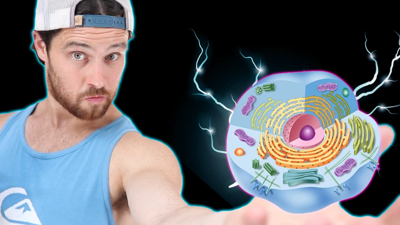 How Intermittent Fasting May HELP Reverse Type 2 Diabetes | New Study