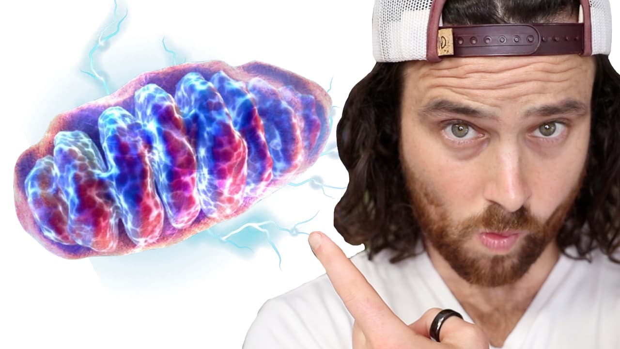The Secret to MORE Health & Longevity | Your Mitochondria
