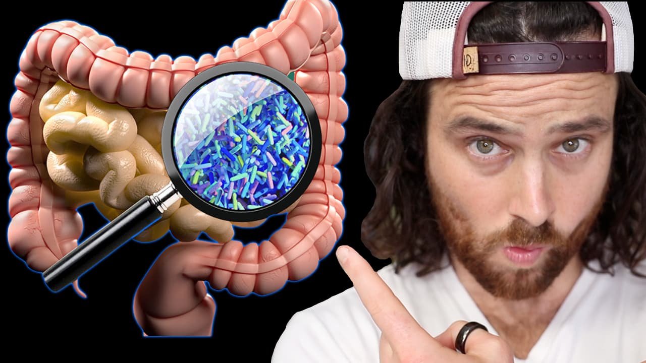 The Gut Bacteria & Obesity Connection