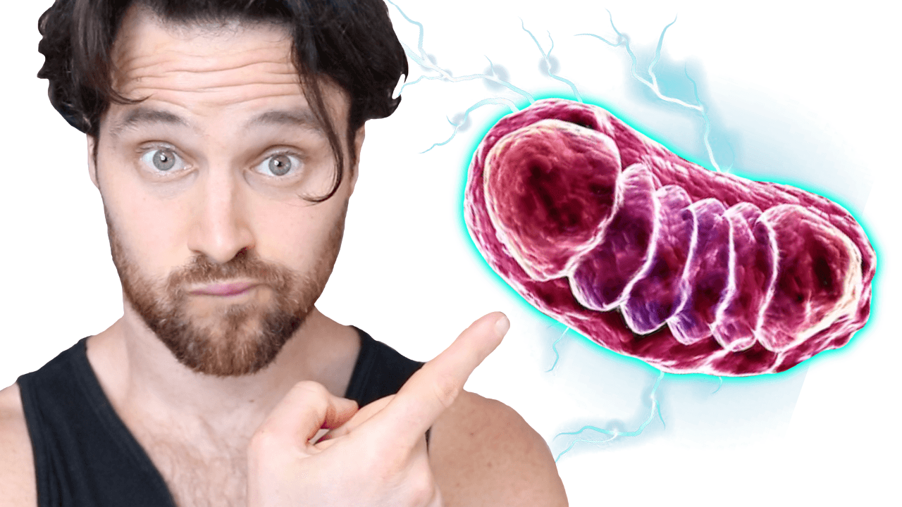 Mitochondria & Mental Health | The Suspicious Connection