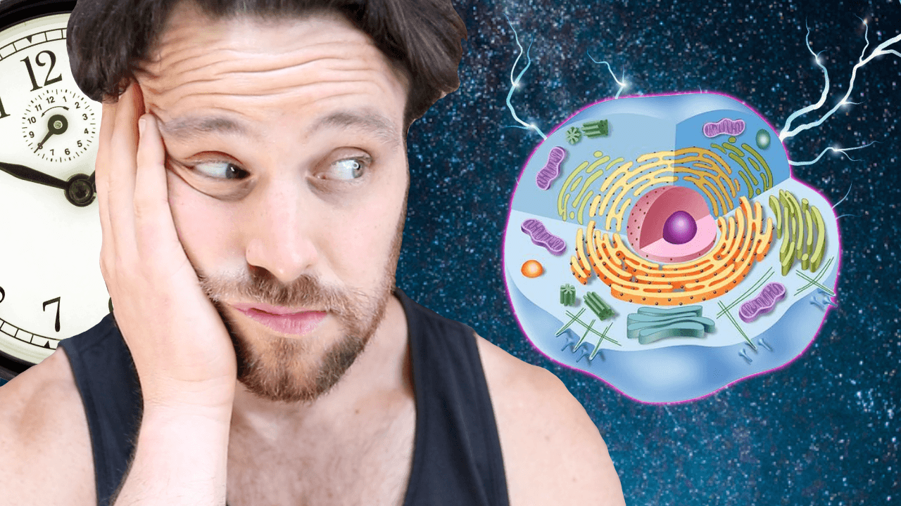 The Connection between Poor Sleep Quality & Insulin Resistance | Don’t Sleep on Deep Sleep