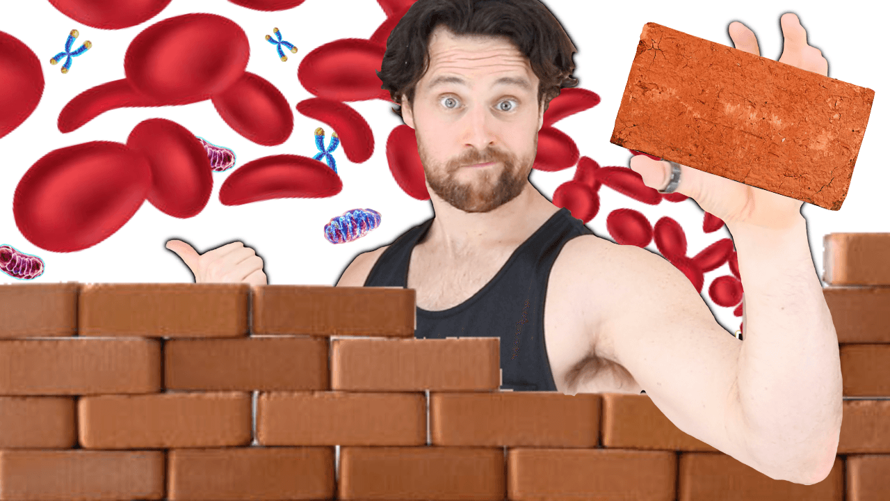 Your KEY Bodily Barriers | How to Support and Strengthen Them