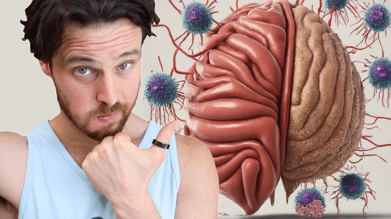 The Thymus | Your Secret Longevity Organ
