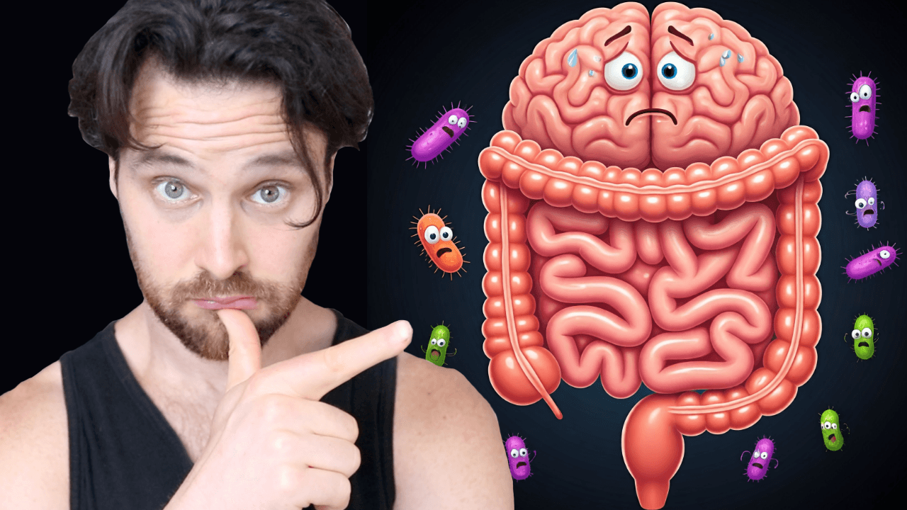 How Gut Microbiome Dysbiosis Triggers the Stress Response | What You Can Do